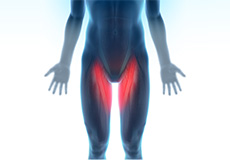 Hip Groin Disorders